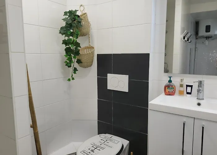 Les Palmiers D'hyeres Appartamento *