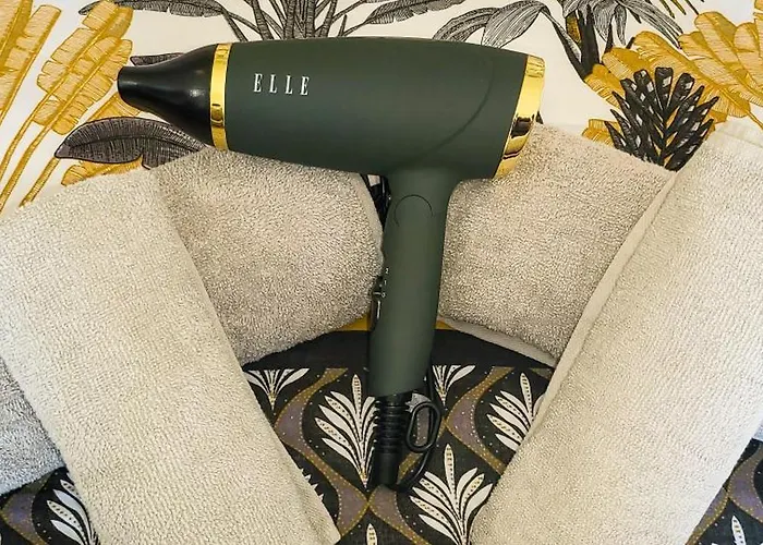 Appartamento Les Palmiers D'hyeres