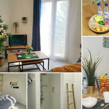 Les Palmiers D'hyeres Hyères