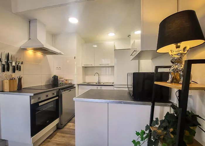 Apartament Les Palmiers D'hyeres *